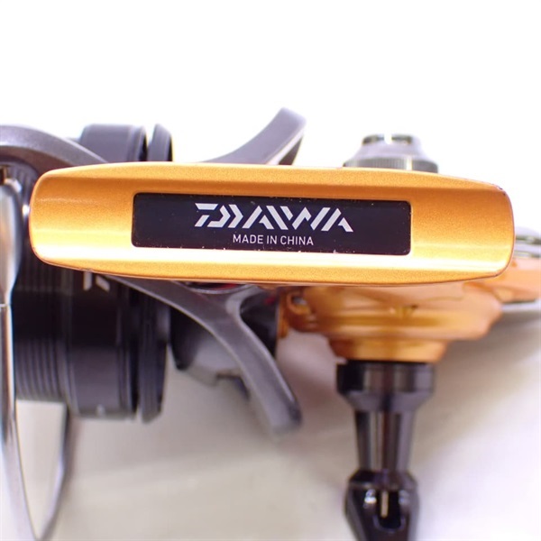 １４キャスティズム２５ＱＤ